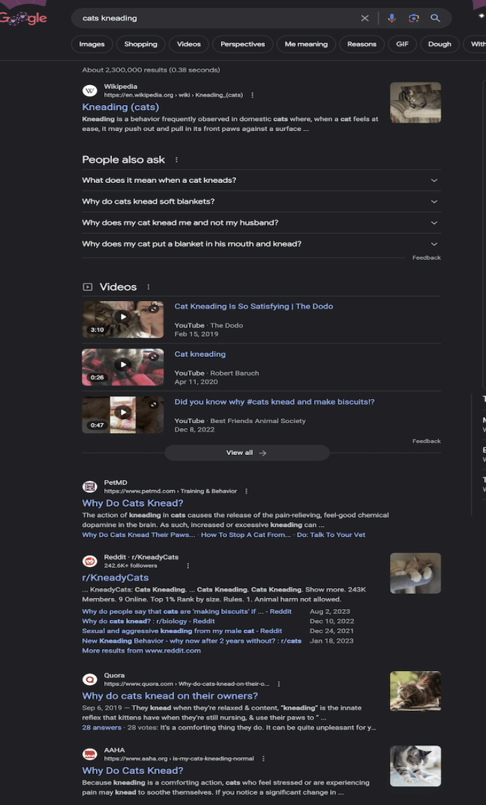 Reddit Search Snippets Showing On First Page